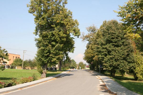 Přepychy, 27.9.2011
Lípy na návsi.
Klíčová slova: Přepychy Lamprodila rutilans