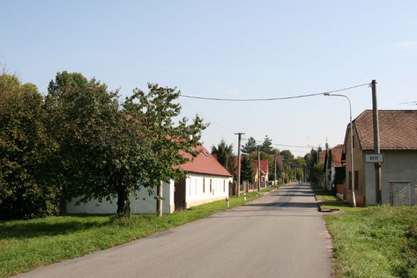 Štít, 27.9.2011
Třešeň na západním okraji obce.
Klíčová slova: Klamoš Štít Anthaxia candens
