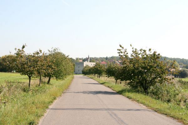 Vápno, 27.9.2011
Třešňová alej mezi obcemi Vápno a Přepychy.
Klíčová slova: Vápno Přepychy