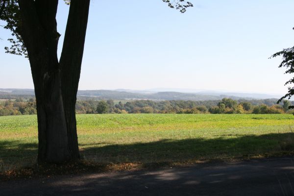 Ratibořice, 2.10.2011
Lipová alej u silnice k Bílému mostu. Pohled na Orlické hory.
Keywords: Ratibořice u České Skalice Lamprodila rutilans Orlické hory