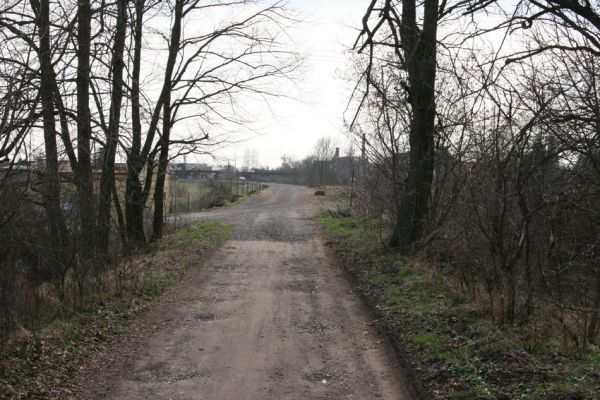 Chlumec nad Cidlinou, 28.3.2011
Lipová alej na levém břehu Cidliny u cesty k bažantnici.
Schlüsselwörter: Chlumec nad Cidlinou Osmoderma barnabita páchník Elater ferrugineus Crepidophorus mutilatus Lamprodila rutilans