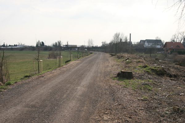 Chlumec nad Cidlinou, 28.3.2011
Vykácená lipová alej na levém břehu Cidliny u cesty k bažantnici.
Klíčová slova: Chlumec nad Cidlinou saproxylofágní holokaust Osmoderma barnabita páchník Elater ferrugineus Crepidophorus mutilatus Lamprodila rutilans