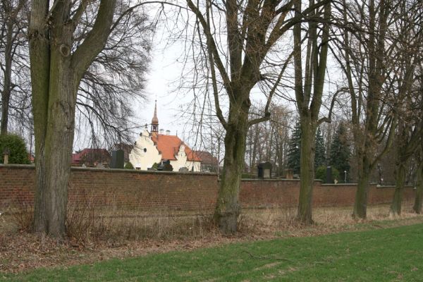 Chlumec nad Cidlinou, 28.3.2011
Lipová alej v Žiželické ulici. 
Klíčová slova: Chlumec nad Cidlinou Žiželická Lamprodila rutilans