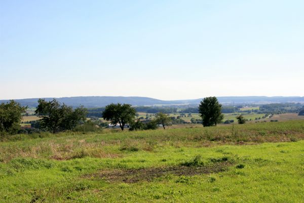 Sobotka, 20.8.2011
Třešňová alej u silnice Osek - Vesec u Sobotky.
Schlüsselwörter: Sobotka Anthaxia candens