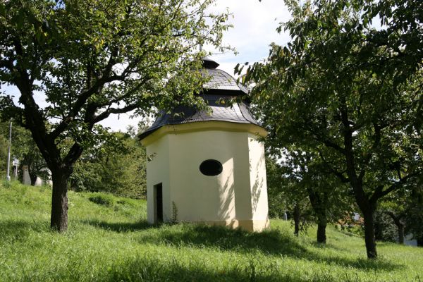 Moravská Třebová, 29.8.2011
Křížový vrch - Kalvárie. Třešňovka. 
Klíčová slova: Moravská Třebová Křížový vrch Kalvárie Anthaxia candens