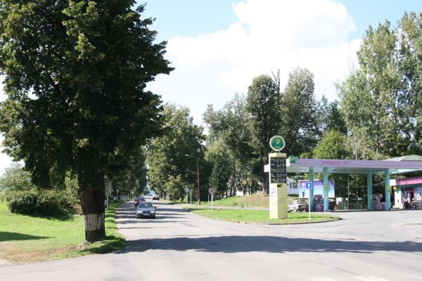 Moravská Třebová, 3.9.2011
Lipová alej ve Svitavské ulici osídlená krasci lipovými.
Klíčová slova: Moravská Třebová Svitavská Lamprodila rutilans