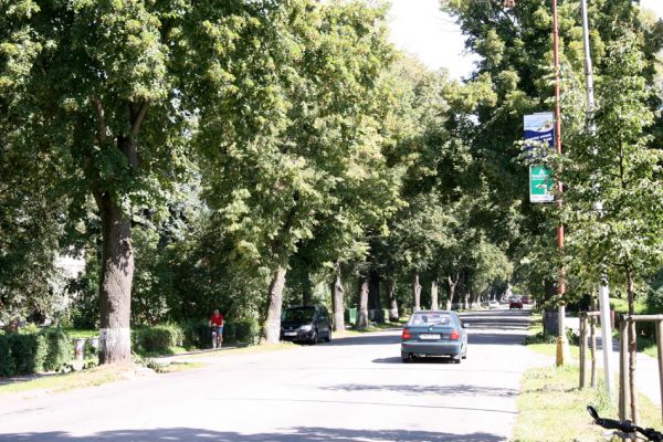 Moravská Třebová, 3.9.2011
Lipová alej ve Svitavské ulici osídlená krasci lipovými.
Klíčová slova: Moravská Třebová Svitavská Lamprodila rutilans