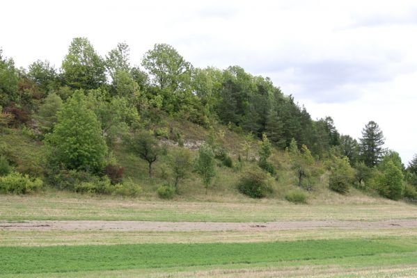 Široký Důl, 13.9.2011
Step na jihozápadním svahu.
Klíčová slova: Široký Důl step