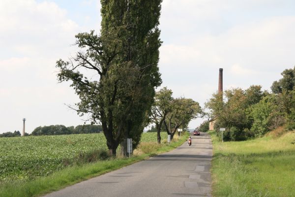 Hořice, Chvalina, 16.9.2011
Žižkova ulice - třešňová alej.
Schlüsselwörter: Hořice Chvalina Anthaxia candens