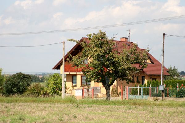 Třesovice, 16.9.2011
Třešně na východním okraji obce.
Klíčová slova: Třesovice Anthaxia candens