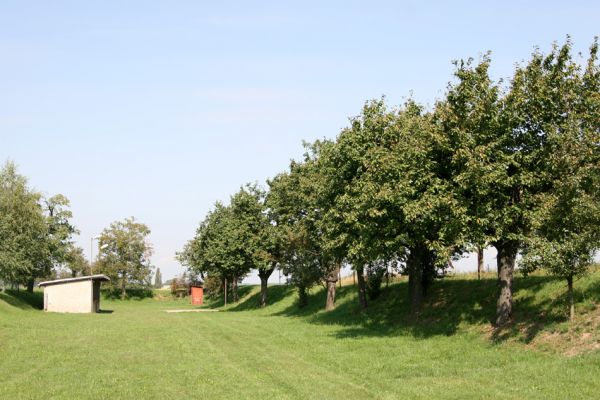 Vlčkovice u Praskačky, 16.9.2011
Třešňová alej u hřiště.
Mots-clés: Praskačka Vlčkovice Anthaxia candens