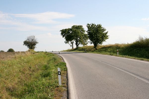 Voleč, 17.9.2011
Třešňová alej u silnice na Chýšť.
Klíčová slova: Voleč Anthaxia candens