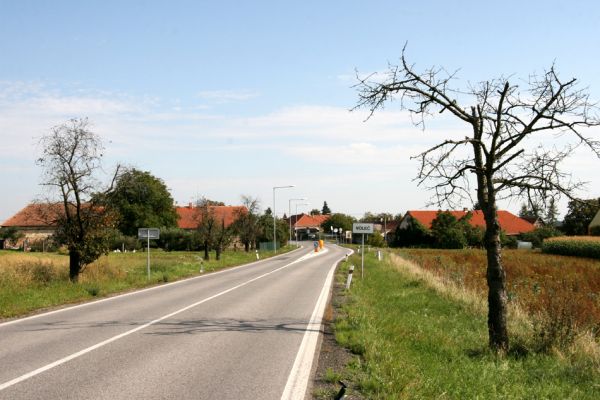 Voleč, 17.9.2011
Třešňová alej u silnice na Chýšť.
Schlüsselwörter: Voleč Anthaxia candens
