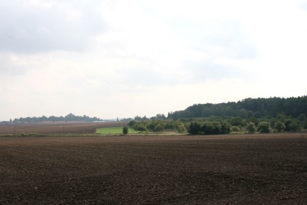Chlumec nad Cidlinou, 22.9.2011
Pohled na Chlumec od severozápadu. Vpravo ovocný sad s výskytem krasců třešňových.
Schlüsselwörter: Chlumec nad Cidlinou Anthaxia candens