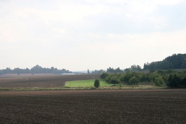 Chlumec nad Cidlinou, 22.9.2011
Pohled na Chlumec od severozápadu. Vpravo ovocný sad s výskytem krasců třešňových.
Klíčová slova: Chlumec nad Cidlinou Anthaxia candens