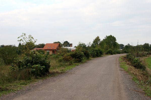 Chlumec nad Cidlinou, 22.9.2011
Pařezy lip v lipové aleji obrážejí. Život se nedá jen tak lehce zlikvidovat.
Schlüsselwörter: Chlumec nad Cidlinou Osmoderma barnabita páchník Elater ferrugineus Crepidophorus mutilatus