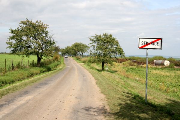 Sekeřice, 22.9.2011
Třešňová alej u silnice k obci Žlunice.
Klíčová slova: Sekeřice Anthaxia candens