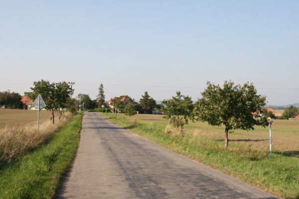 Šaplava, 26.9.2011
Mladá třešňová alej u silnice na Myštěves.
Klíčová slova: Šaplava