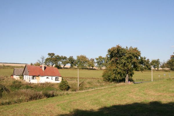 Litoboř, 2.10.2011
Třešňové aleje v okolí silnice na Slatinu.
Schlüsselwörter: Litoboř