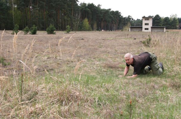 Oleško, 17.4.2011
Bývalá střelnice, takto se na travinách vyhledávají kovaříci Dicronychus equiseti.
Klíčová slova: Oleško střelnice Cardiophorus asellus Dicronychus equiseti Mertlik