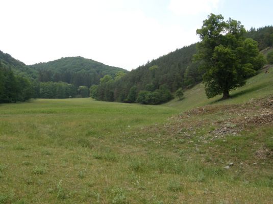 Lánská obora, 13.6.2007
Niva Klíčavy - Klíčavské luhy.
Keywords: Křivoklátsko Lánská obora Klíčava Klíčavské luhy 5949A4