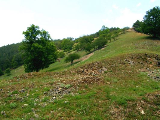 Lánská obora, 13.6.2007 
Teplomilná stráň nad Klíčavskými luhy.
Keywords: Lánská obora Křivoklátsko 5949A4 Klíčavské luhy