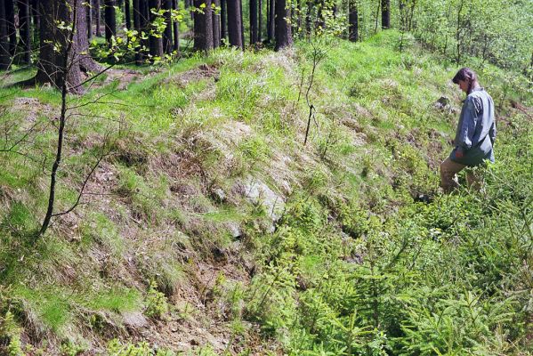 Adršpašsko-teplické skály, 10.5.2002
Janovická Vlčí rokle. Svah u lesní cesty - biotop kovaříků Orithales serraticornis.
Klíčová slova: Adršpach Adršpašsko-teplické skály Janovická Vlčí rokle Orithales serraticornis Ctenicera cuprea Pheletes aeneoniger Klára Hoffmannová