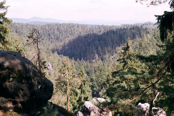 Adršpašsko-teplické skály, 1.9.2004
Pohled na Ptačí příkop a Vlčí rokli z Janovických hřbetů.



Klíčová slova: Jívka Janovice Adršpašsko-teplické skály Janovické hřbety Vlčí rokle