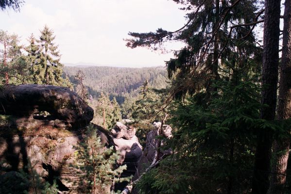 Adršpašsko-teplické skály, 1.9.2004
Pohled na Vlčí rokli z Janovických hřbetů.
Schlüsselwörter: Jívka Janovice Adršpašsko-teplické skály Janovické hřbety Vlčí rokle