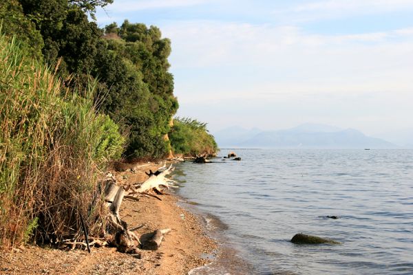 Agia Apostoli
Úzká pláž pod hájem prastarých solitérních dubů v Agii Apostoli.
Schlüsselwörter: Preveza Agia Apostoli