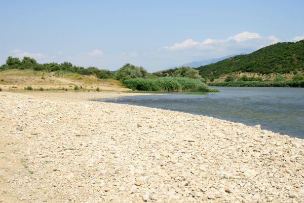 Séres, Amfípoli, 4.6.2008
Strímonas a její vyschlé boční koryto. 
Klíčová slova: Séres Amfípoli Strímonas Paracardiophorus musculus Zorochros alysidotus