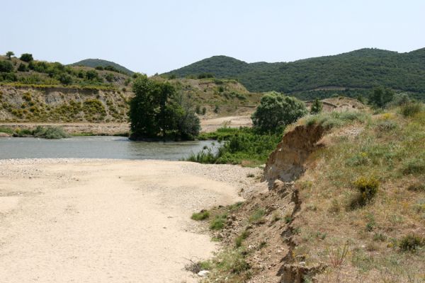 Séres, Amfípoli, 4.6.2008
Strímonas a její vyschlé boční koryto. 
Klíčová slova: Séres Amfípoli Strímonas Paracardiophorus musculus Zorochros alysidotus