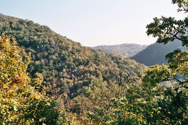 Babice nad Svitavou, 6.10.2006
Les na hřbetu nad penzionem U Kamenného kola. Vyhlídka na Slovenskou stráň.

Mots-clés: Babice nad Svitavou Josefovské údolí Slovenská stráň