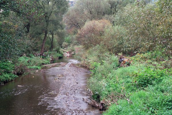 Zborov, 2.10.2004
Kamenec pod Zborovem.
Schlüsselwörter: Zborov Kamenec