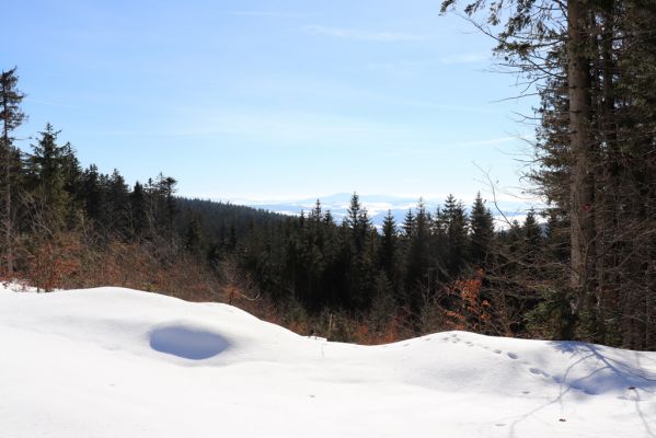 Bartošovice v Orlických horách, 20.2.2021
Pohled ze hřbetu nad Hadincem na Suchý vrch.
Keywords: Bartošovice v Orlických horách Hadinec Suchý vrch