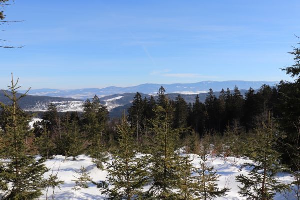 Bartošovice v Orlických horách, 20.2.2021
Pohled ze hřbetu nad Hadincem na Králický Sněžník.
Keywords: Bartošovice v Orlických horách Kladsko Králický Sněžník