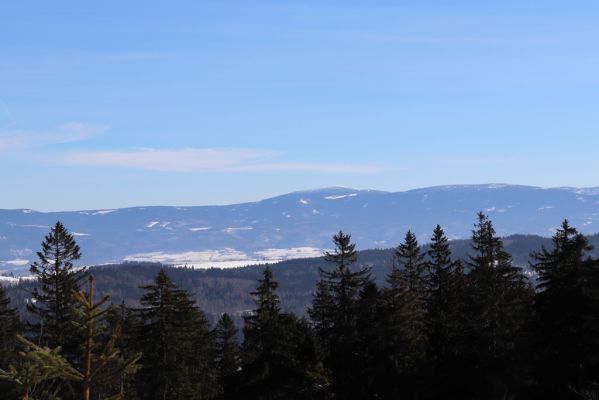 Bartošovice v Orlických horách, 20.2.2021
Pohled ze hřbetu nad Hadincem na Králický Sněžník.
Mots-clés: Bartošovice v Orlických horách Kladsko Králický Sněžník