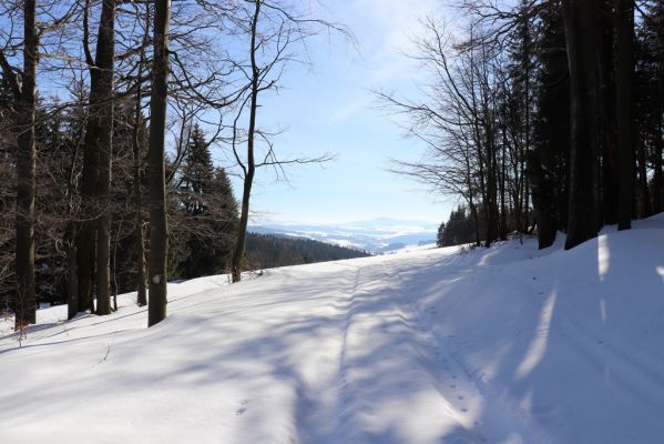 Bartošovice v Orlických horách, 20.2.2021
Nad osadou Hadinec.
Keywords: Bartošovice v Orlických horách Hadinec