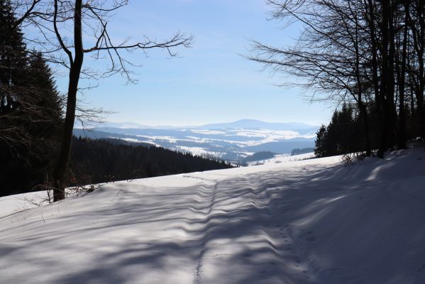 Bartošovice v Orlických horách, 20.2.2021
Nad osadou Hadinec. Pohled na Suchý vrch.
Klíčová slova: Bartošovice v Orlických horách Hadinec