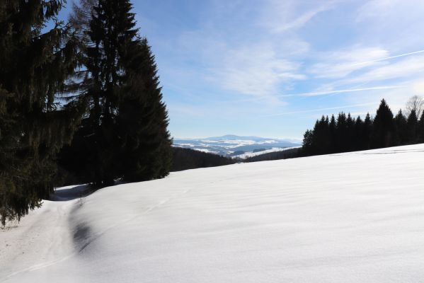 Bartošovice v Orlických horách, 20.2.2021
Osada Hadinec.
Klíčová slova: Bartošovice v Orlických horách Hadinec