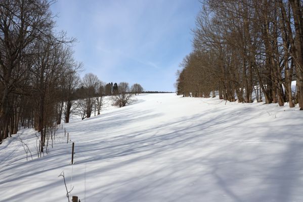 Bartošovice v Orlických horách, 20.2.2021
Vrchní Orlice - údolí Hadince.
Mots-clés: Bartošovice v Orlických horách Vrchní Orlice Hadinec