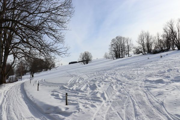 Bartošovice v Orlických horách, 20.2.2021
Vrchní Orlice - údolí Hadince.
Klíčová slova: Bartošovice v Orlických horách Vrchní Orlice Hadinec