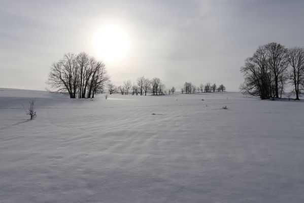 Bartošovice v Orlických horách, 20.2.2021
Vrchní Orlice - vrch Polom.
Keywords: Bartošovice v Orlických horách Vrchní Orlice vrch Polom