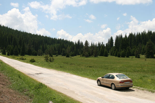 Batak, 21.6.2010
Rodopy, Bataška planina severně od jezera Goljam.
Mots-clés: Rodopi Mts Batak Batashka Planina plain Aplotarsus incanus