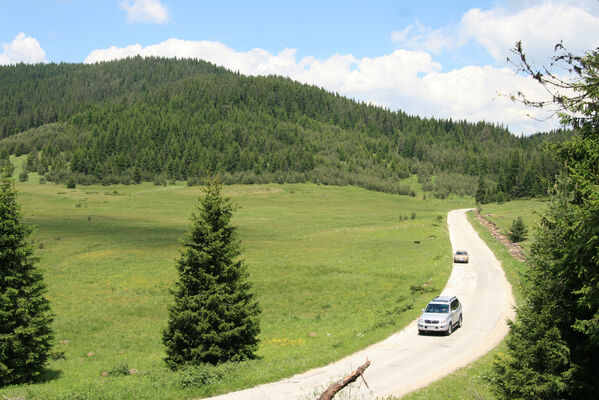 Batak, 21.6.2010
Rodopy, Bataška planina severně od jezera Goljam.
Mots-clés: Rodopi Mts Batak Batashka Planina plain Aplotarsus incanus