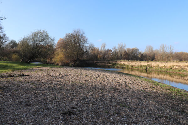 Nepasice, 13.11.2022
Meandry Orlice.
Keywords: Třebechovice pod Orebem Nepasice meandry Orlice