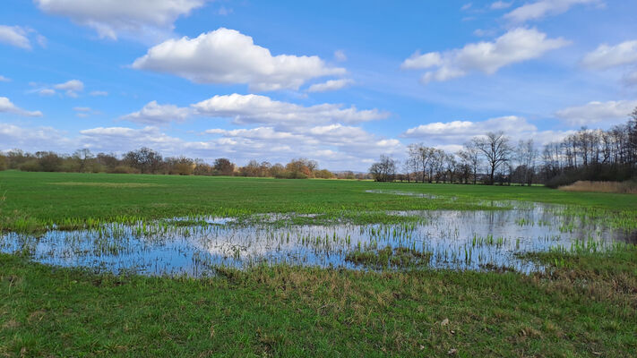 Běleč nad Orlicí, 17.3.2024
Meandry Orlice - záplavové louky.
Keywords: Běleč nad Orlicí meandry Orlice