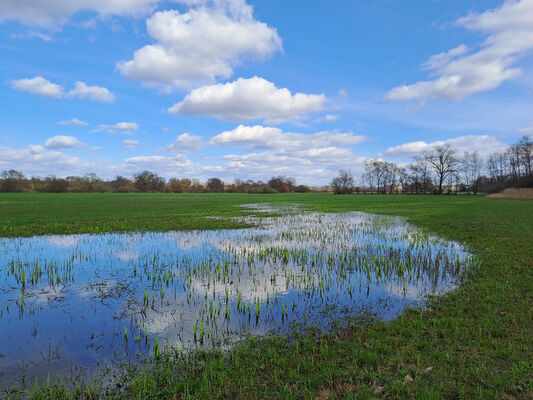 Běleč nad Orlicí, 17.3.2024
Meandry Orlice - záplavové louky.
Schlüsselwörter: Běleč nad Orlicí meandry Orlice