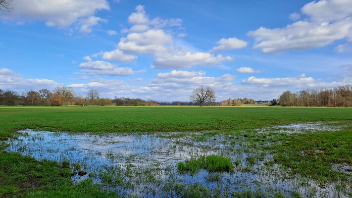 Běleč nad Orlicí, 17.3.2024
Meandry Orlice - záplavové louky.
Keywords: Běleč nad Orlicí meandry Orlice