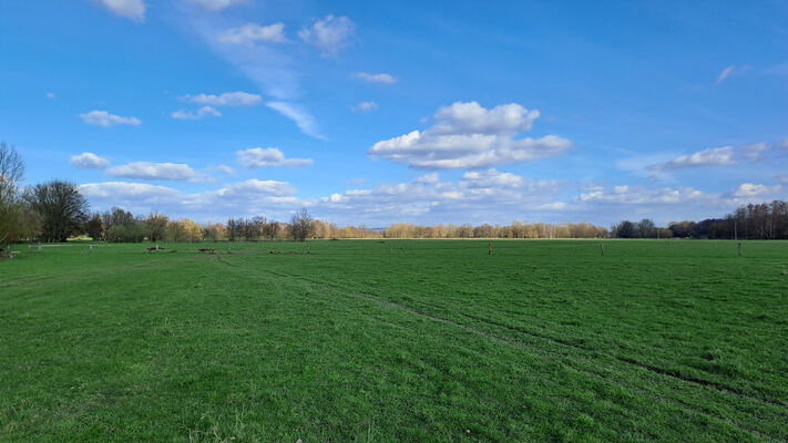 Běleč nad Orlicí, 17.3.2024
Meandry Orlice - záplavové louky.
Klíčová slova: Běleč nad Orlicí meandry Orlice